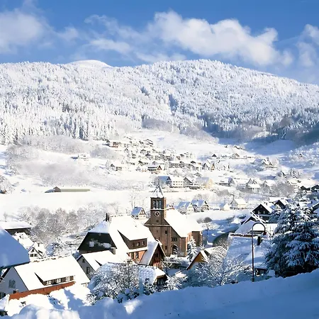 Apartment Mit Balkon Im Schwarzwald *