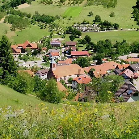 شقة Mit Balkon Im Schwarzwald سيباتش