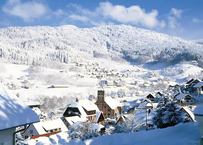 아파트 Mit Balkon Im Schwarzwald *